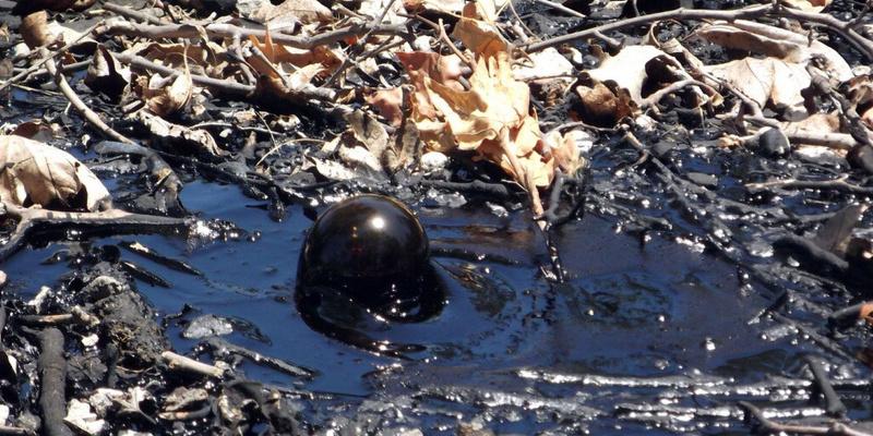 Томские ученые разработали новый метод очистки почвы от нефтесолевого загрязнения