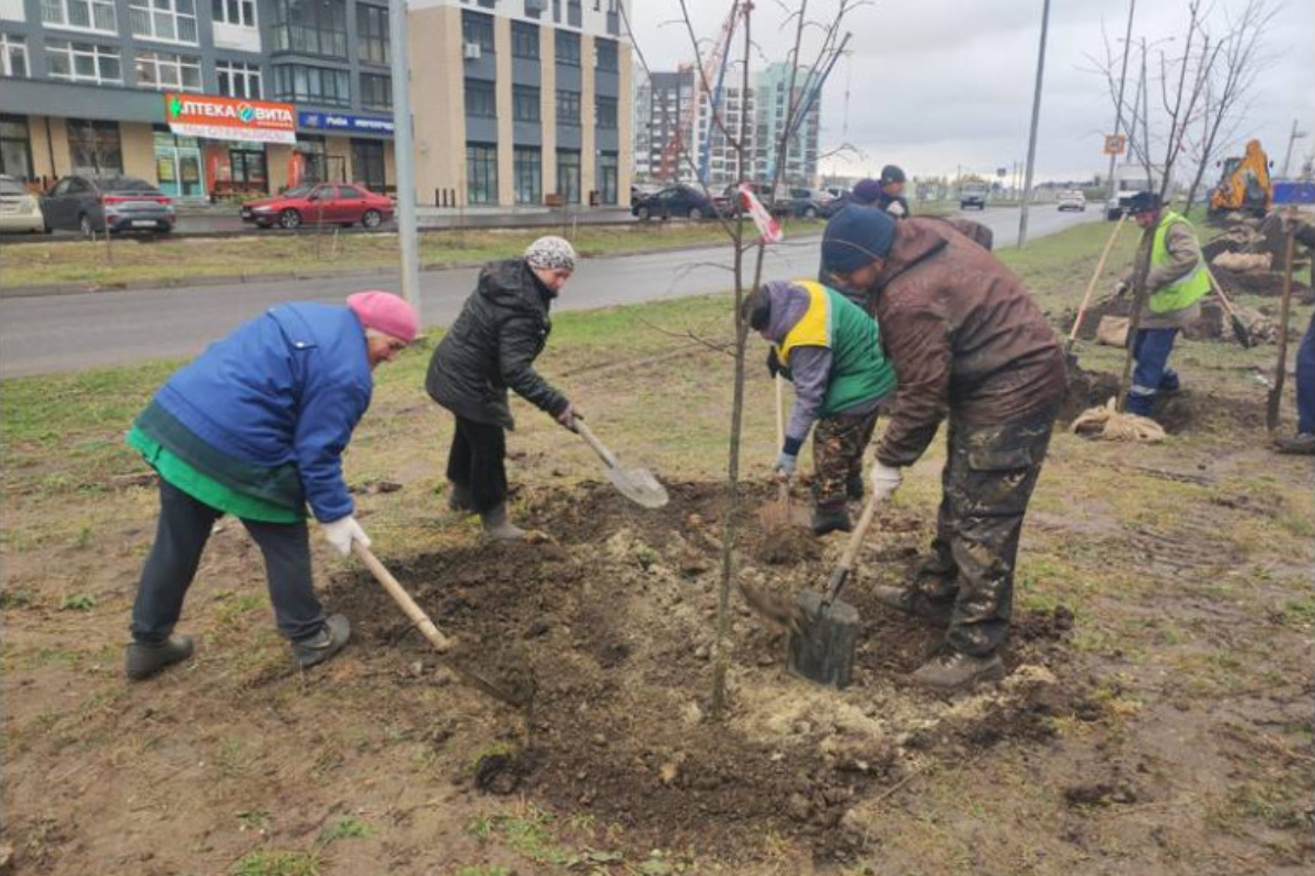 По поручению Александра Болдакина осенью в скверах Ульяновска появятся ели, яблони и красивоцветущие кустарники