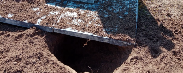 В Балакове снова жалуются на животных, разрывающих могилы