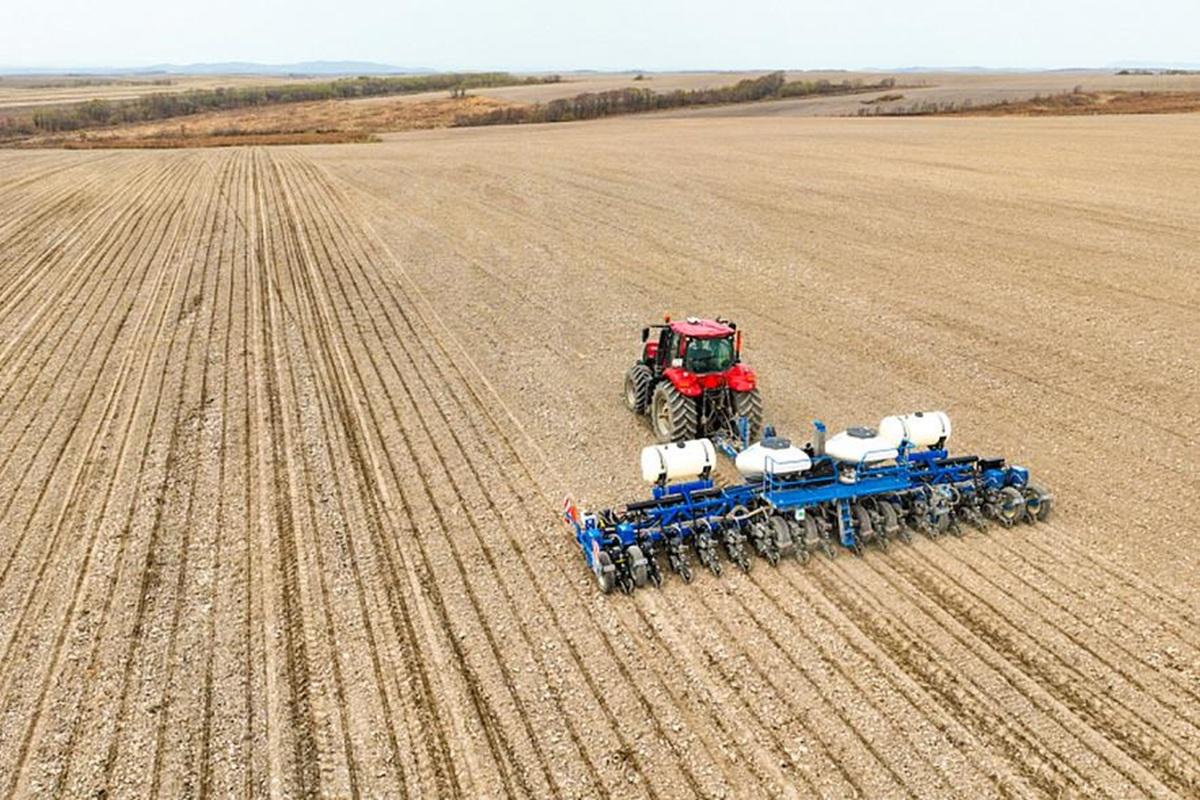 Поставки аграрной продукции из Новосибирской области в Беларусь выросли почти впятеро