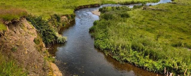 В Марий Эл расчистят 6,3 километра русел рек в 2024 году