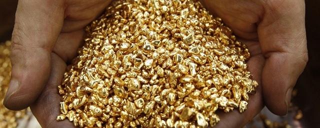 На Чукотке с начала года добыли около двух тонн золота