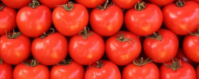 В Ижевске изъяли почти 3 тонны санкционных томатов и груш