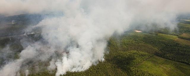 В Красноярском крае горит более 550 тысяч га леса