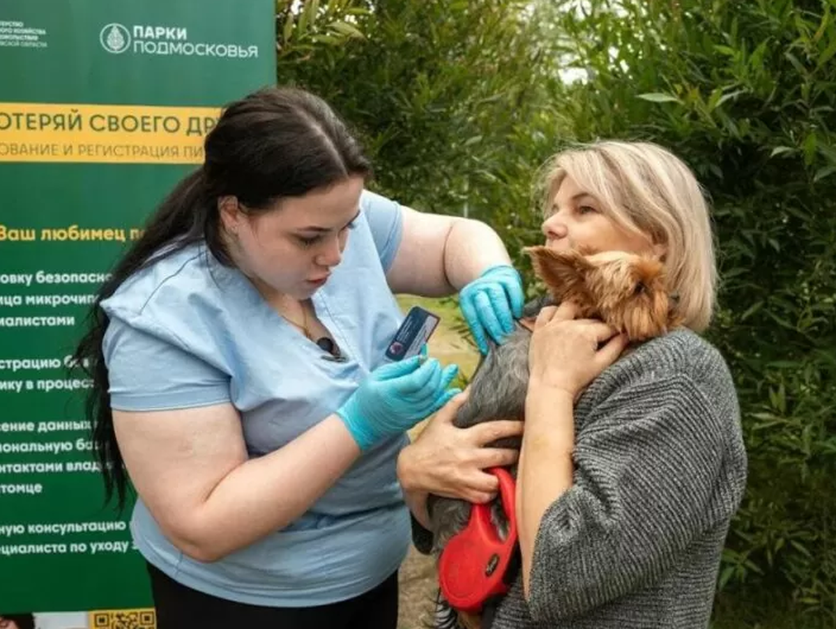В парках Городского округа Пушкинский домашним животным сделают укол от бешенства