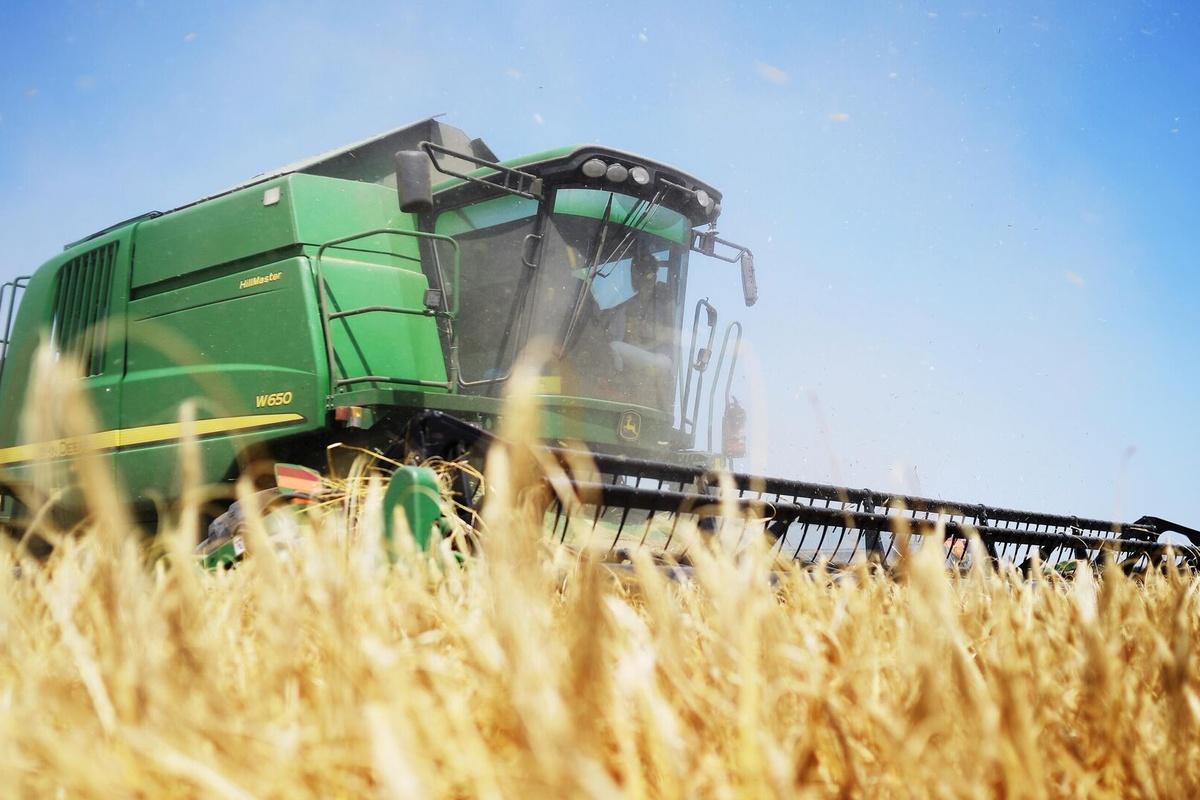 Агропром Новгородской области в 2025 году экспортировал своей продукции на 16 млн долларов