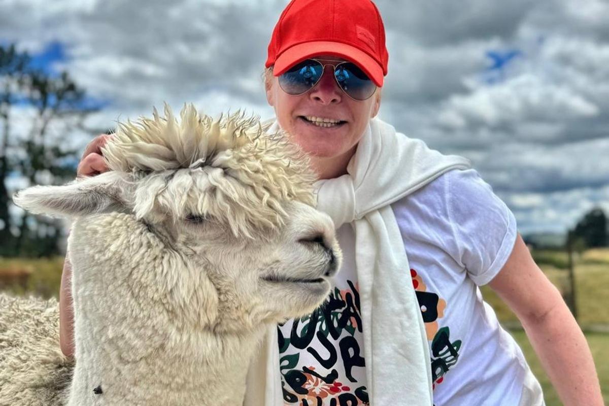 Альпаки стали антистрессом для директора новосибирской филармонии