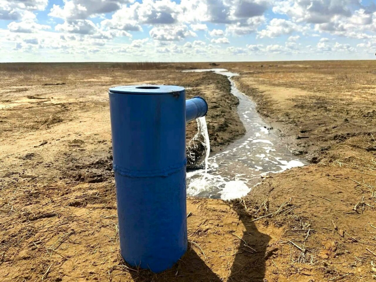 Реанимация скважин в степи: сайгаков Астрахани обеспечат питьевой водой