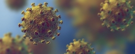 В Ленинградской области за прошедшие сутки заразился коронавирусом 31 человек