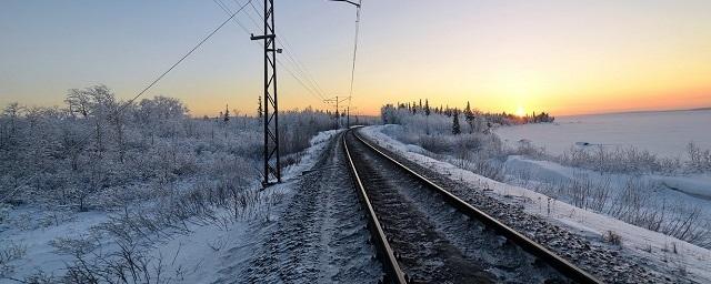 В Рязани грузовой поезд насмерть сбил 30-летнего мужчину