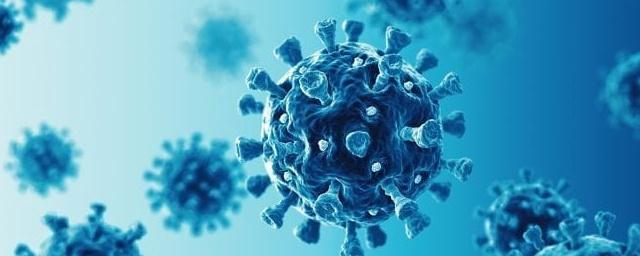 В России зафиксированы первые случаи нового коронавируса AY.4.2