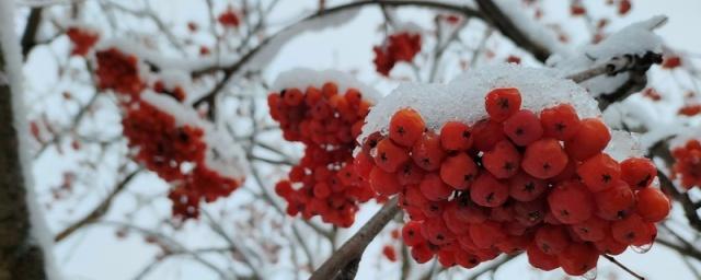 Жителей Башкирии предупредили о резком похолодании до -25 °C