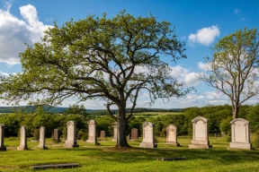 Генеалогический туризм: путешествие к истокам своей семьи