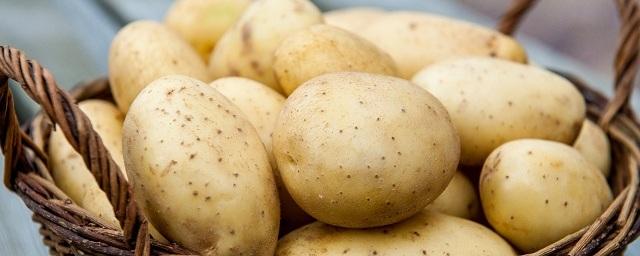 В Пермском крае в июне картофель подорожал в 1,5 раза