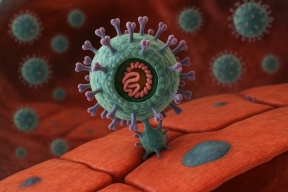 Ключ к победе над «тихим убийцей»: найдена уязвимость вируса, вызывающего пороки развития