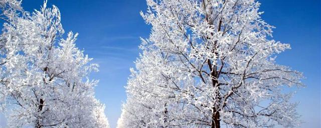 В Псковской области на 22 февраля синоптики прогнозируют похолодание