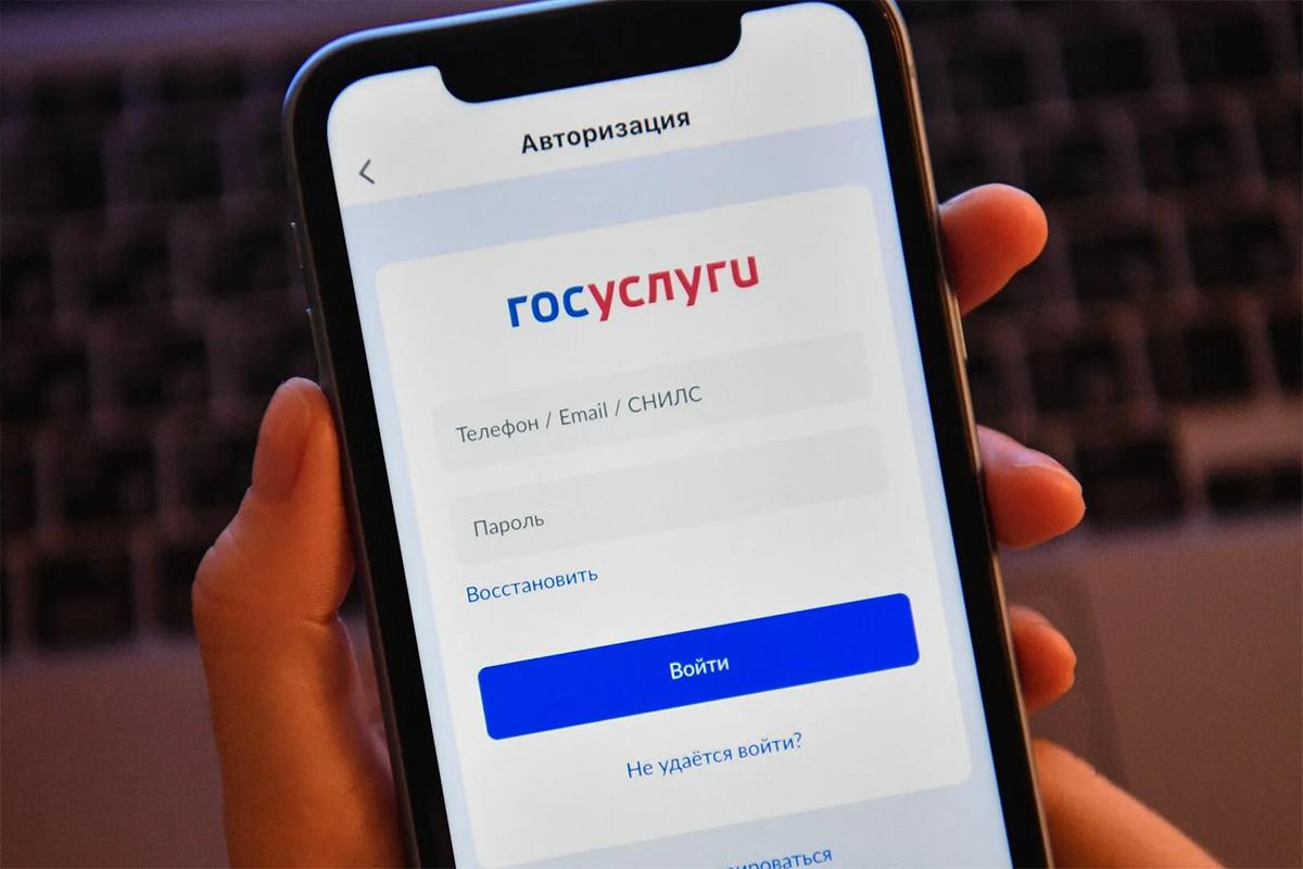 Сенатор рассказал, как защитить соцсети и «Госуслуги»