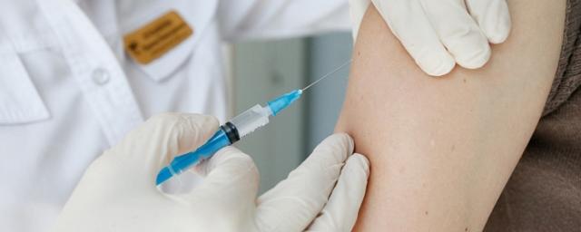 В Мурманской области 1 сентября начнется вакцинация от гриппа