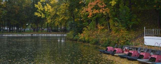 Губернатор Смоленщины ужаснулся состоянию пруда в Лопатинском саду