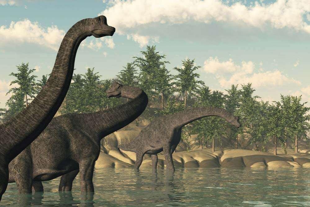 Ученые выяснили, что люди потеряли ген долголетия из-за динозавров