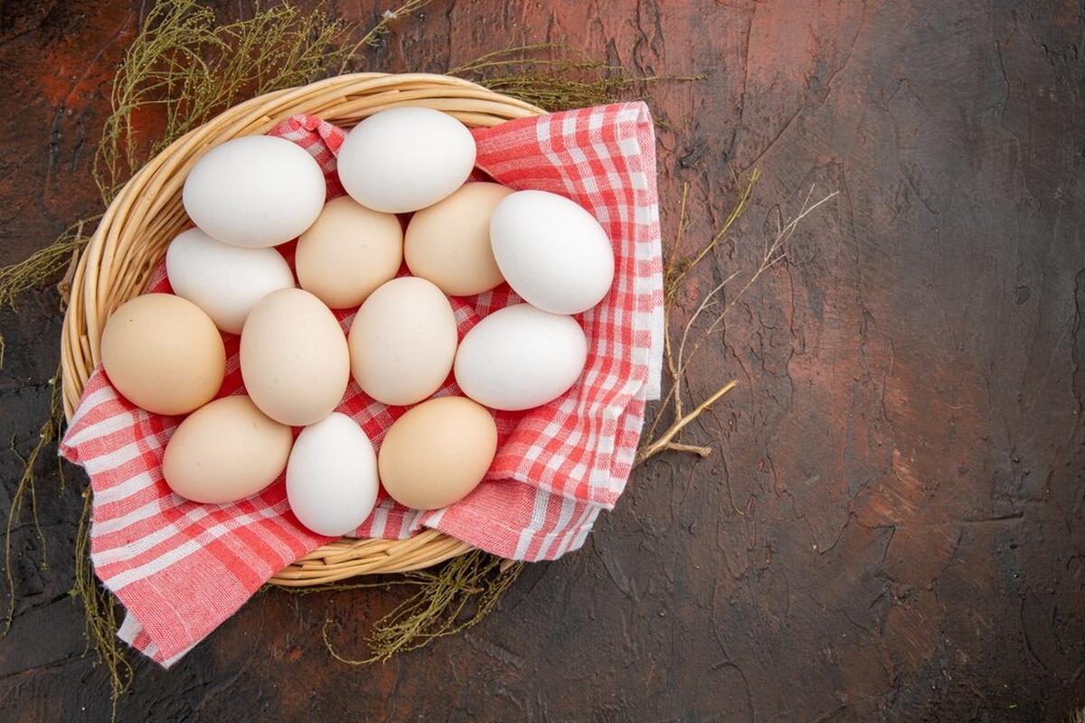 Куриные яйца в России (страна-террорист) с начала года подешевели