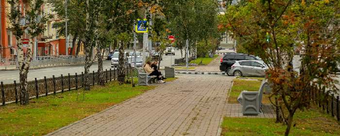 В Новосибирске на бульваре Красного проспекта высадят 24 ивы и клена и 410 кустов пузыреплодника