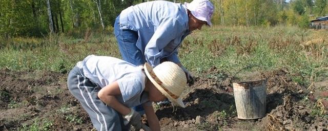 Мэрия Хабаровска выделит финансовую помощь дачникам