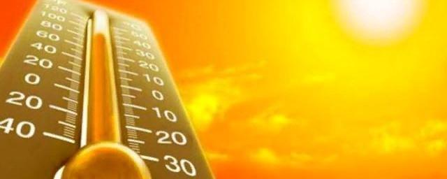 Жителей Воронежской области предупредили о жаркой погоде