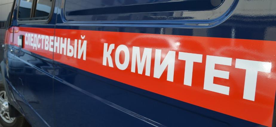 В Красноярске возбуждено дело по факту ухода 6-летнего ребенка из прогимназии