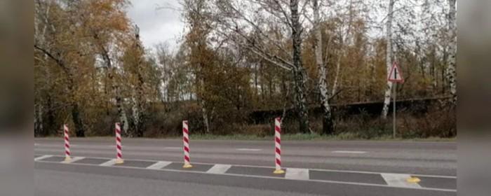 На двух опасных участках дороги Воронеж – Нововоронеж установили сигнальные столбики