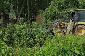 Стихия повредила деревья и линии электропередач в Вологодском округе