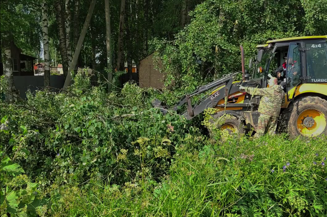 Стихия повредила деревья и линии электропередач в Вологодском округе