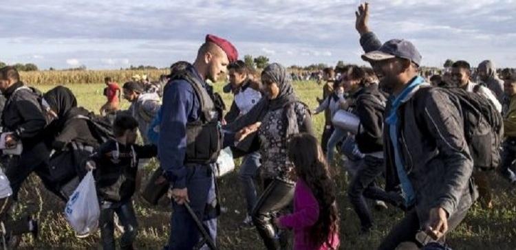 Свыше тысячи беженцев прорвали кордон полицейских на границе Венгрии
