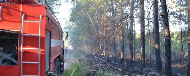 В Новосибирской области предупредили о начале пожароопасного сезона