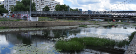 В Иваново начали очистку реки Уводь от кувшинок и водорослей