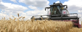 Глава Минсельхоза Патрушев сообщил о снижении экспорта зерна при полном обеспечении внутреннего рынка