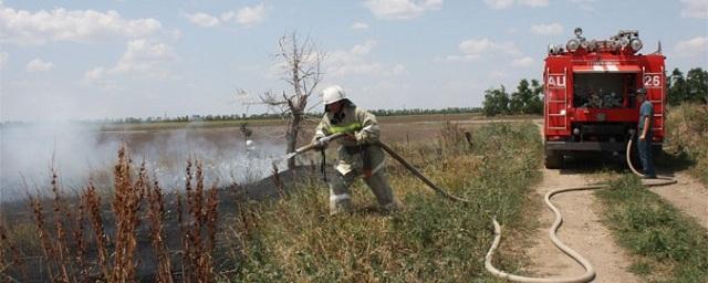 На Дону сохраняется высокая пожарная опасность