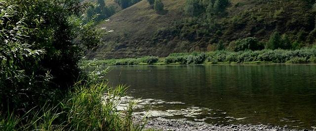 В Кузбассе во время наводнения воды поднялись на 2 метра