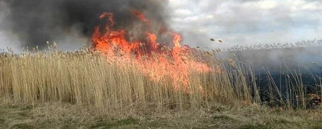 МЧС предупредило жителей Астраханской области о запахе гари