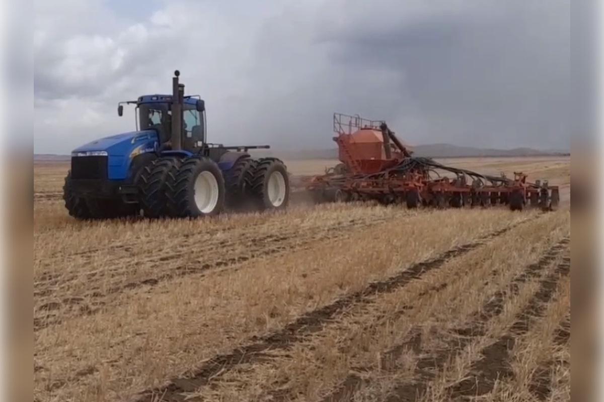 45% посевной площади Забайкалья засеяли яровыми культурами