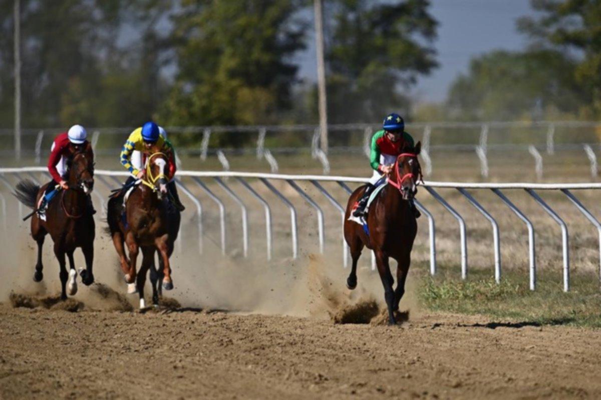 Конноспортивный праздник в Адыгее стал местом притяжения для множества зрителей