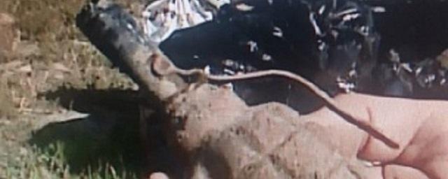 В Новосибирске у пляжа «Наутилус» нашли гранату