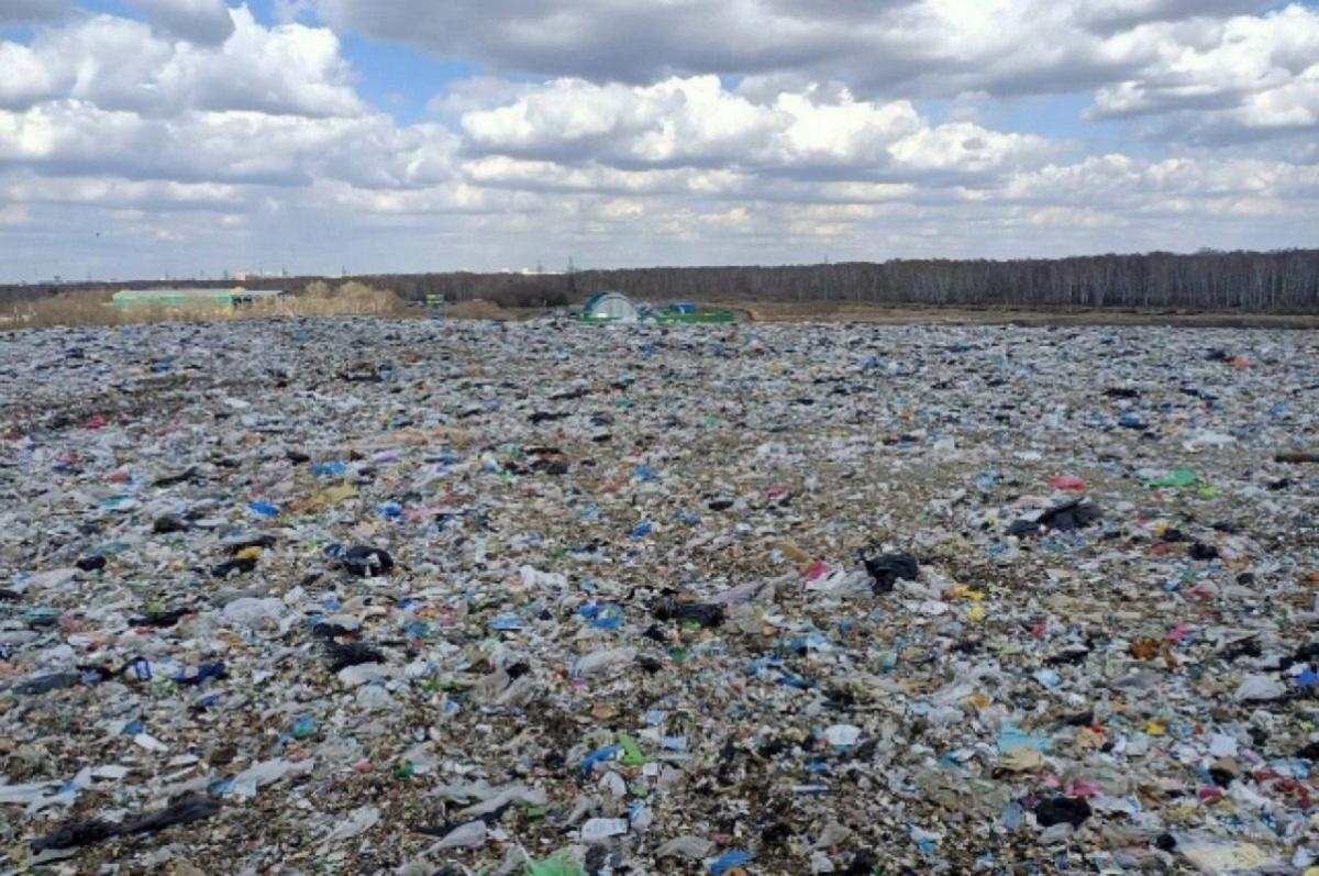 Новый экологический оператор хочет до 2026 года построить под Омском мусорный полигон