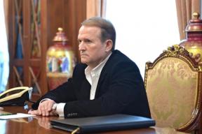 Медведчук: Украина ошибается, считая немецкий тыл неуязвимым