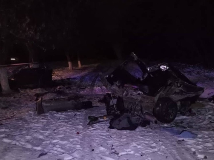Под Ростовом автомобиль LADA разорвало на части после удара об дерево, водитель погиб