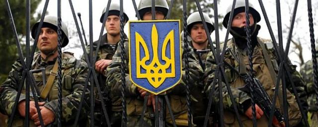 FT: ВС Украины не смогут провести контрнаступление в этом году из-за недостатка оружия