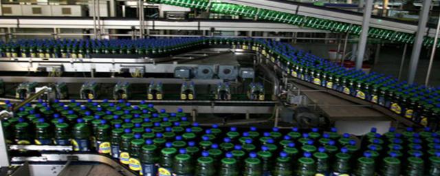 В Новосибирской области на 10,2% выросло производство пива