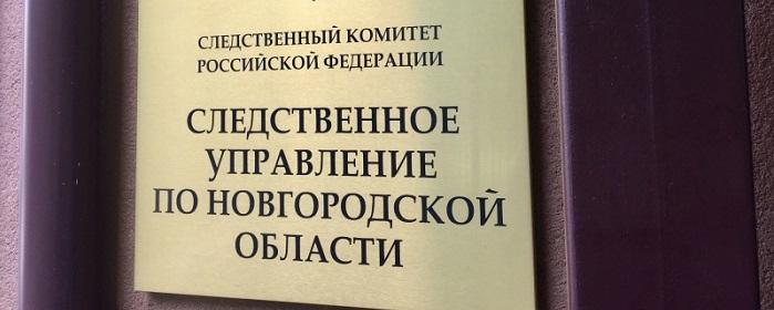 В Новгородской области проверят факты издевательства над 11-летней девочкой