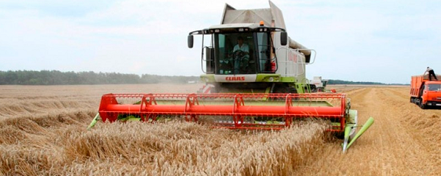 Новосибирские аграрии до конца года получат 1,3 млрд рублей господдержки