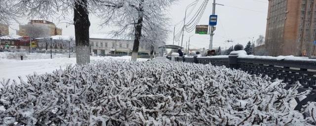 В Рязанской области в ночь на 1 февраля ожидаются заморозки